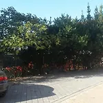 Marina Апартаменты *